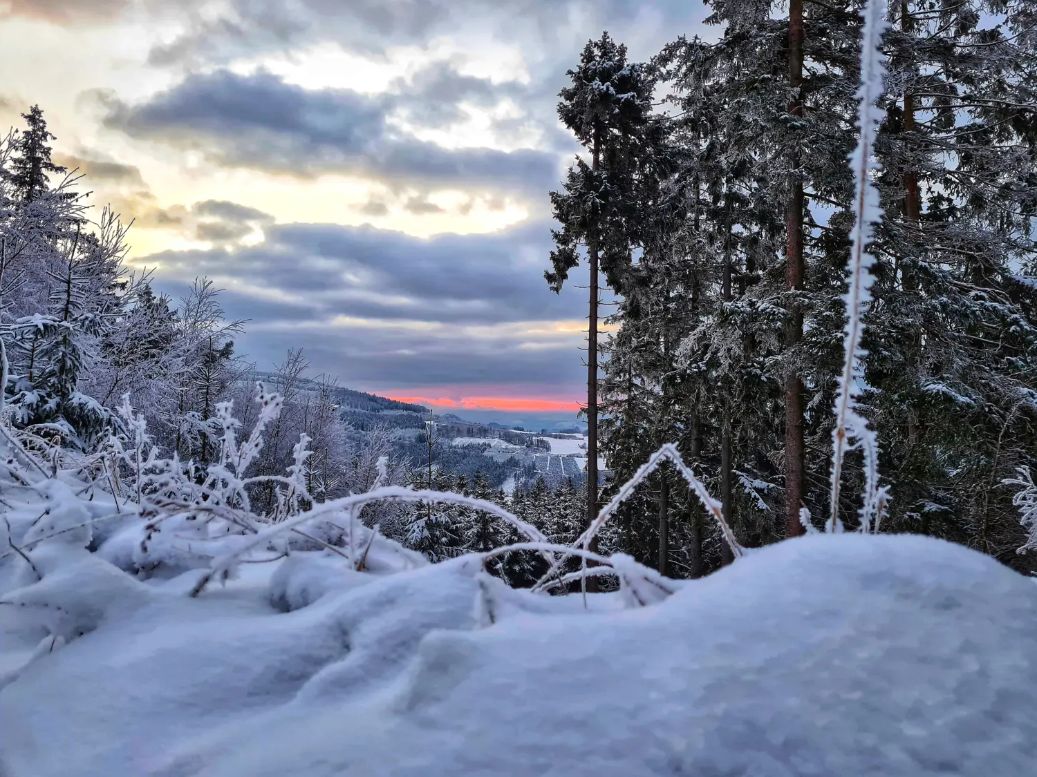 Alda Mattern/ Hypnose Coach/ Havening / EmotionCode Schnee überall