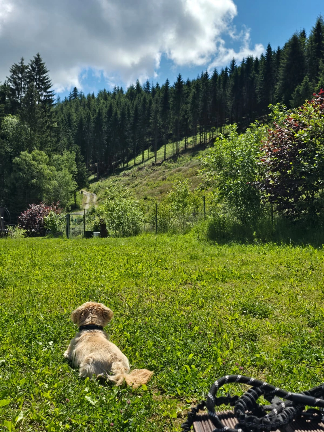 Ferienwohnungen