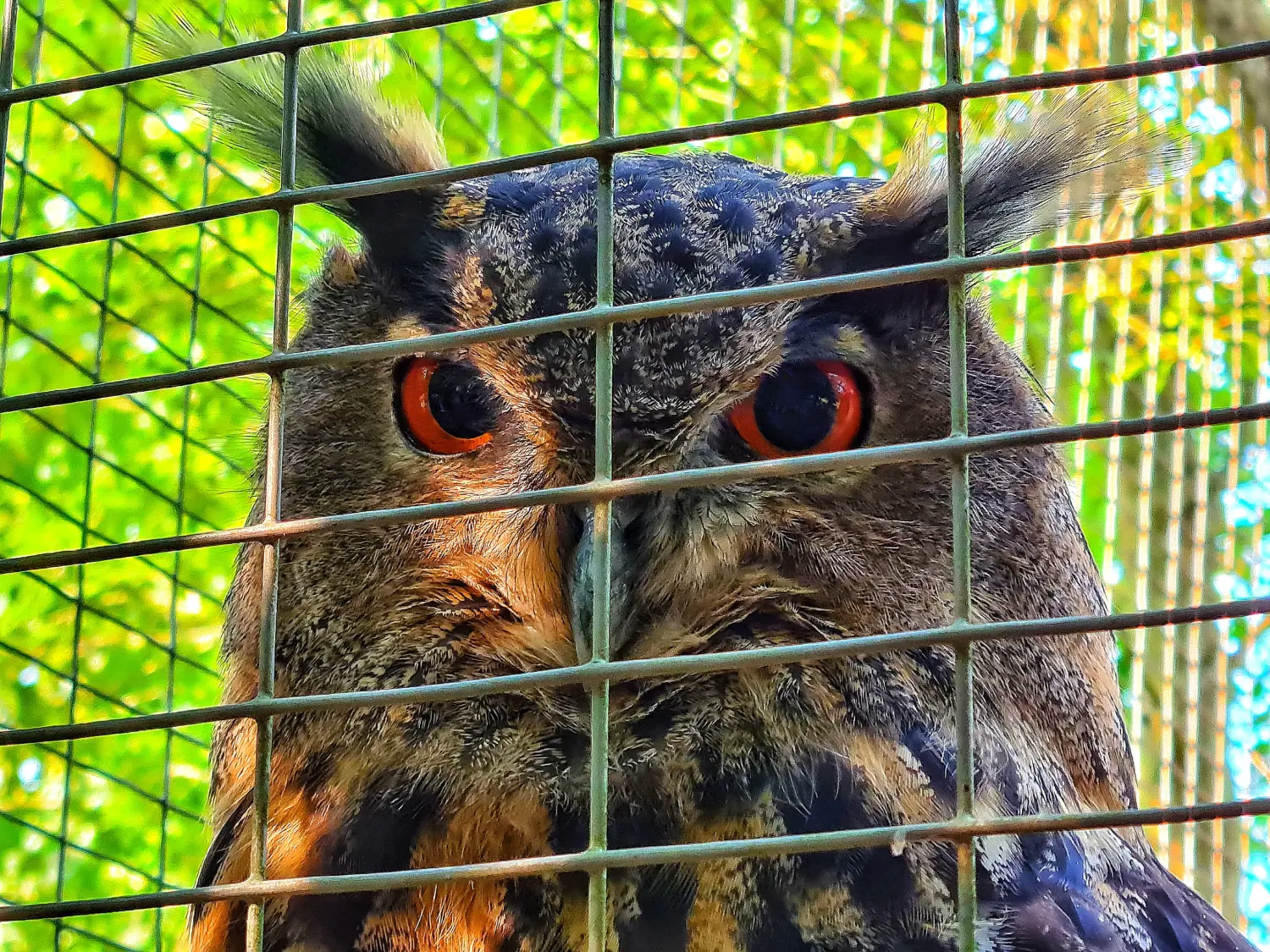 Ferienwohnungen Dorfliebe Dörnberg