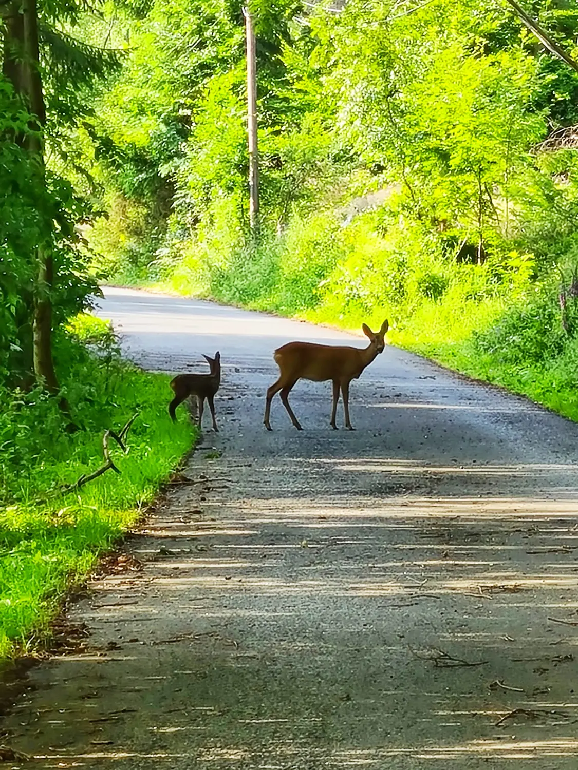 Ferienwohnung Bestwig