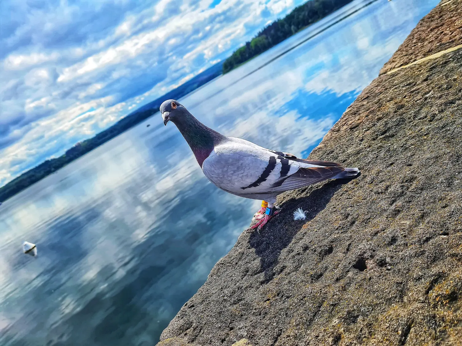 Ferienwohnungen Dorfliebe Dörnberg