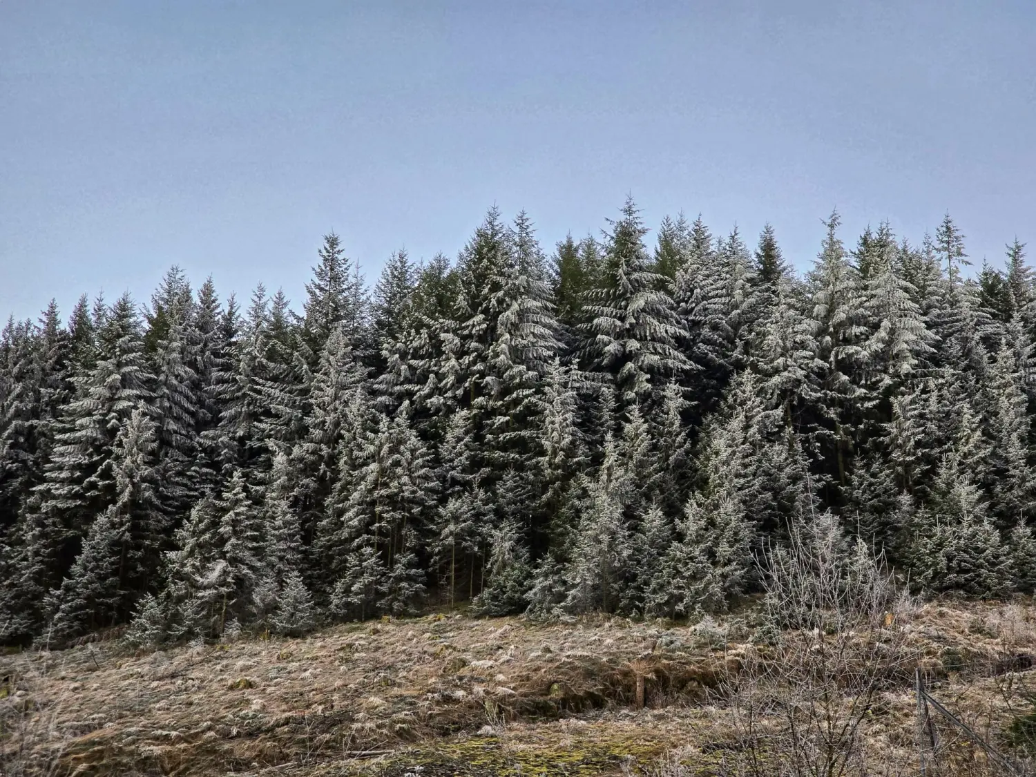 Umgebung/Landschaft von Ferienwohnungen Dorfliebe Dörnberg