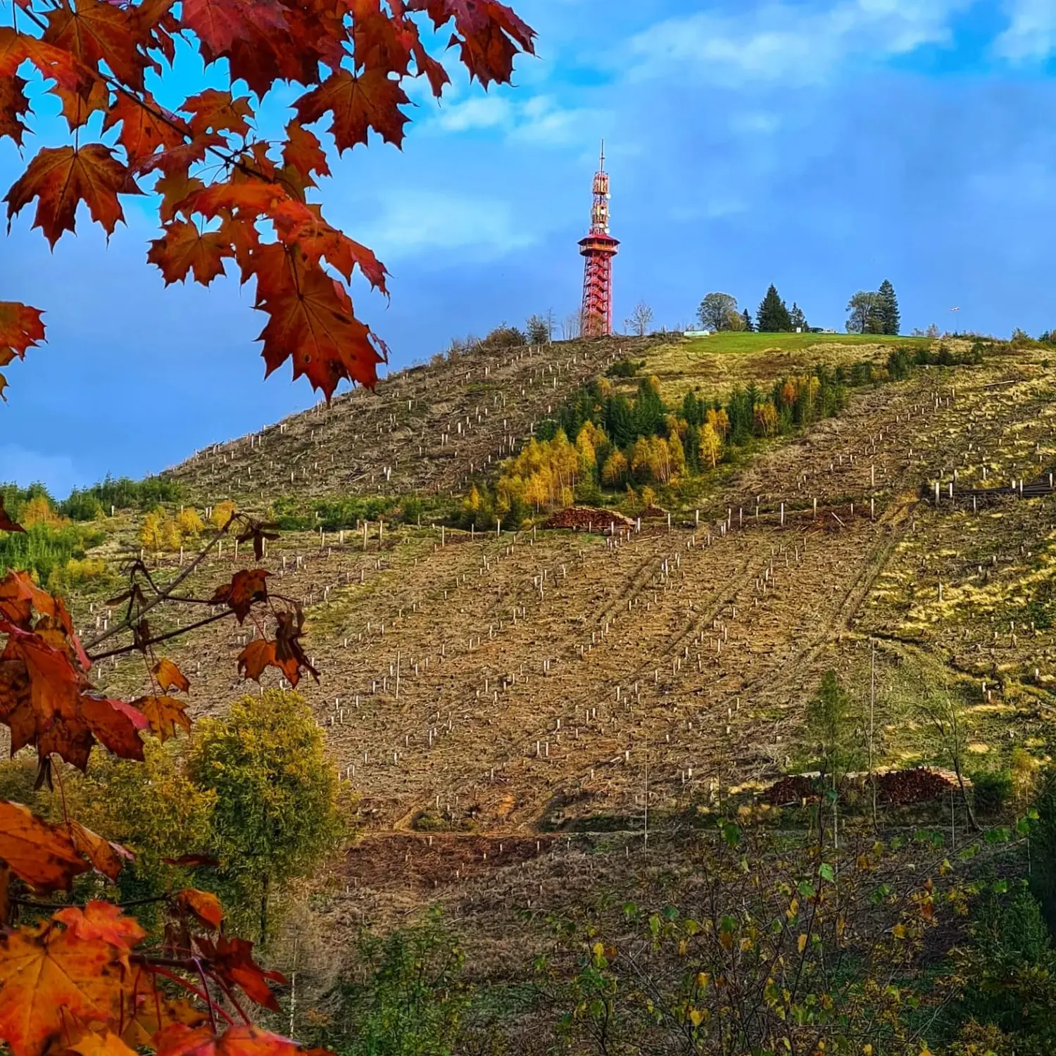 Umgebung/Landschaft von Ferienwohnungen Dorfliebe Dörnberg