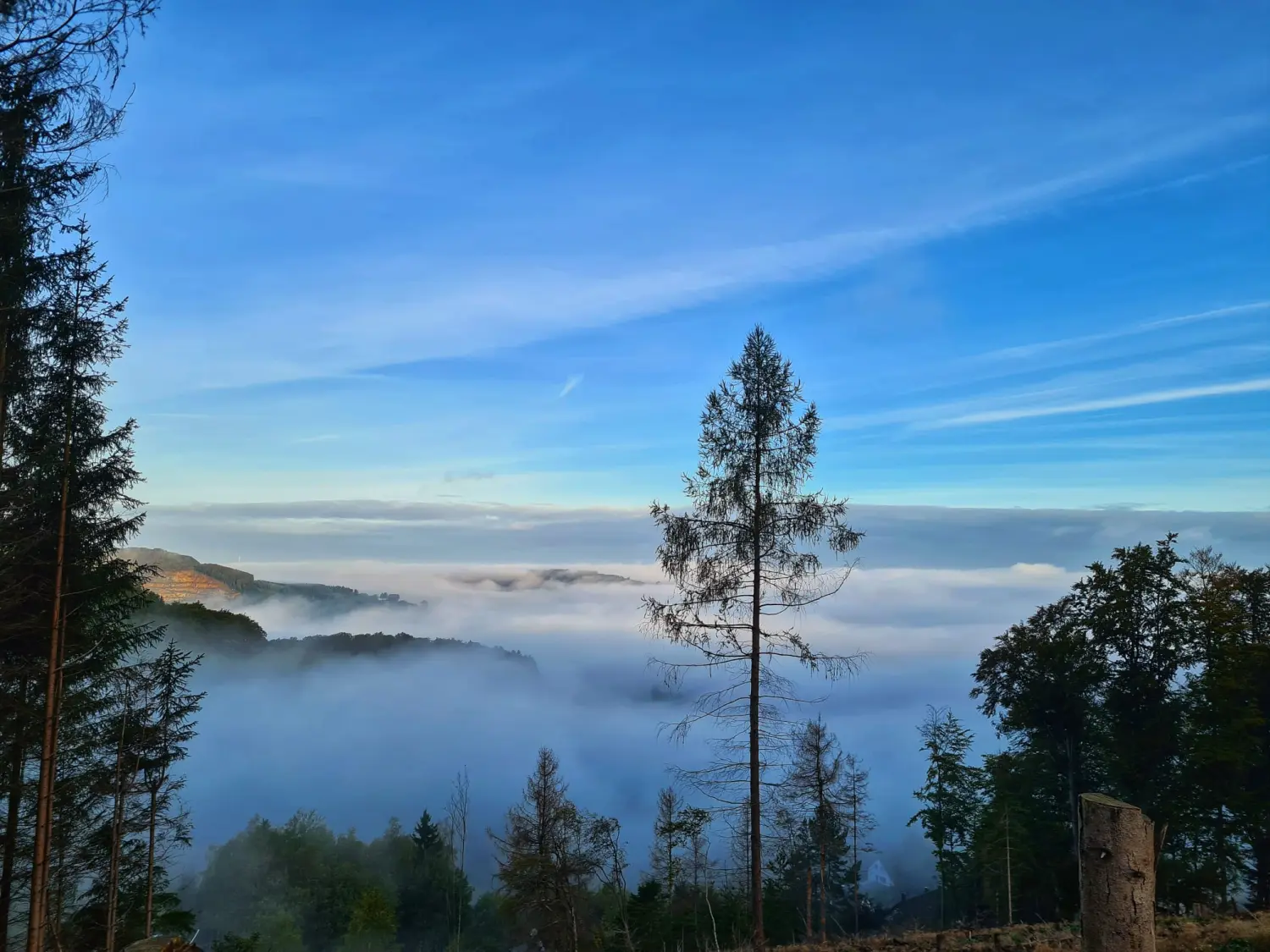 Umgebung/Landschaft von Ferienwohnungen Dorfliebe Dörnberg