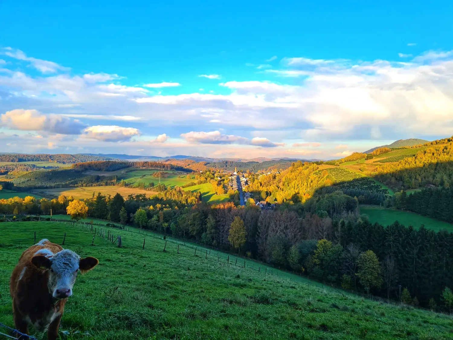 Umgebung/Landschaft von Ferienwohnungen Dorfliebe Dörnberg