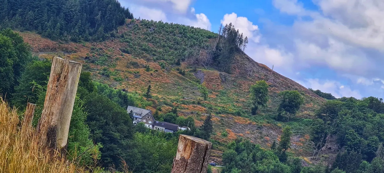 Umgebung/Landschaft von Ferienwohnungen Dorfliebe Dörnberg