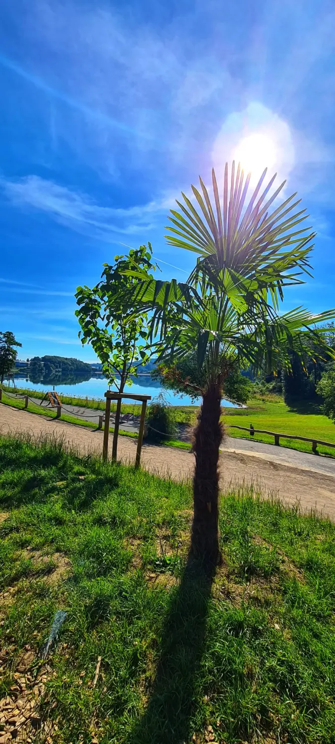 Umgebung/Landschaft von Ferienwohnungen Dorfliebe Dörnberg