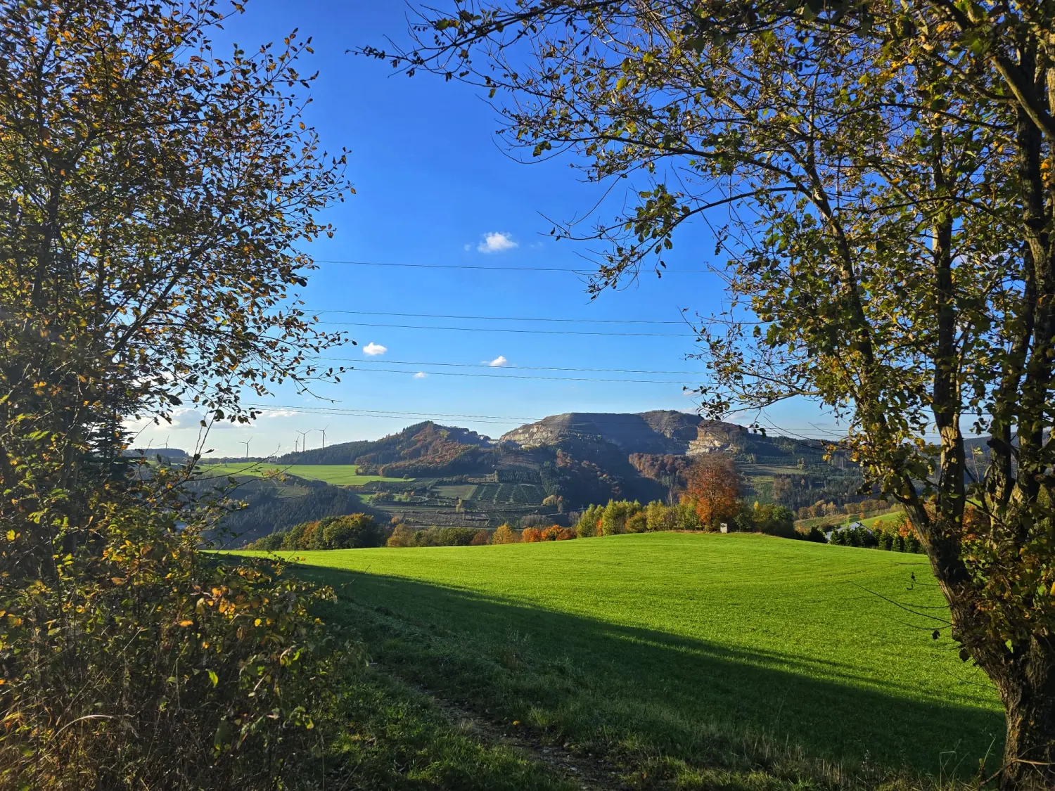 Umgebung/Landschaft von Ferienwohnungen Dorfliebe Dörnberg