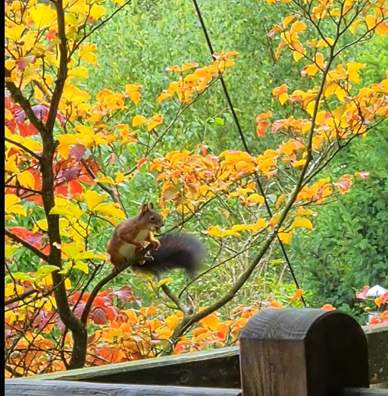 Umgebung/Landschaft von Ferienwohnungen Dorfliebe Dörnberg