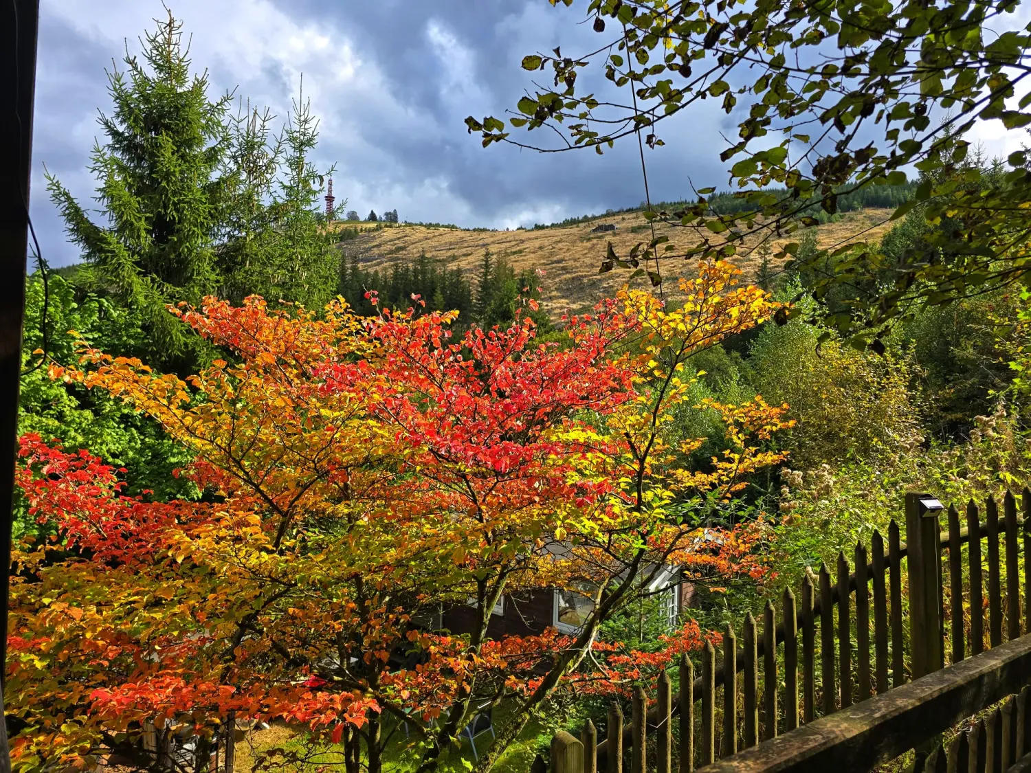 Umgebung/Landschaft von Ferienwohnungen Dorfliebe Dörnberg