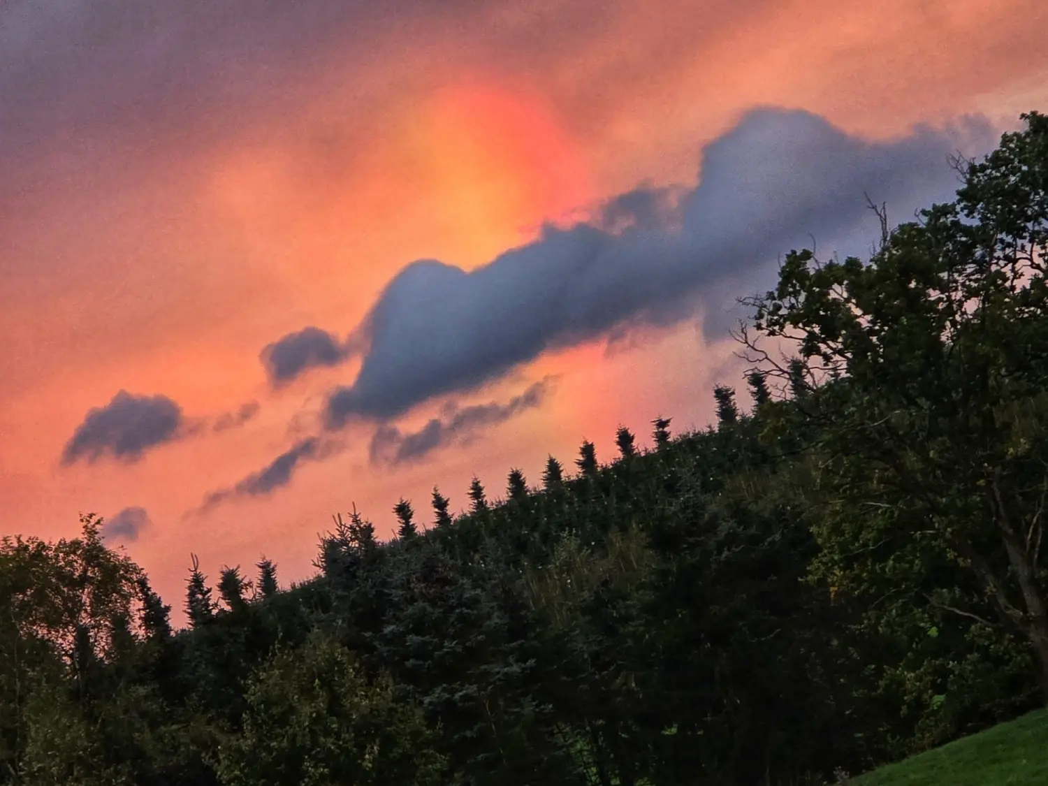 Umgebung/Landschaft von Ferienwohnungen Dorfliebe Dörnberg
