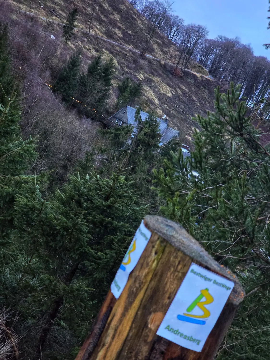 Umgebung/Landschaft von Ferienwohnungen Dorfliebe Dörnberg