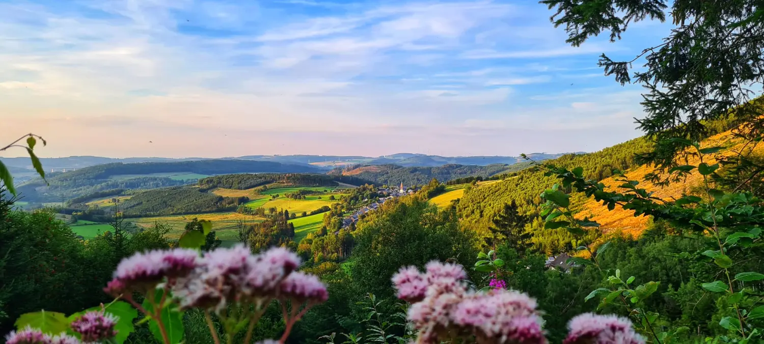Umgebung/Landschaft von Ferienwohnungen Dorfliebe Dörnberg