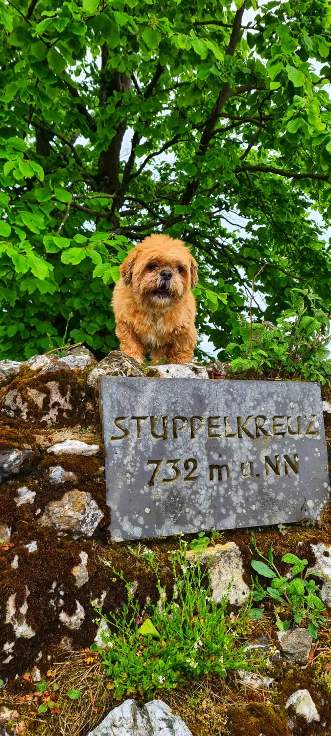 Umgebung/Landschaft von Ferienwohnungen Dorfliebe Dörnberg