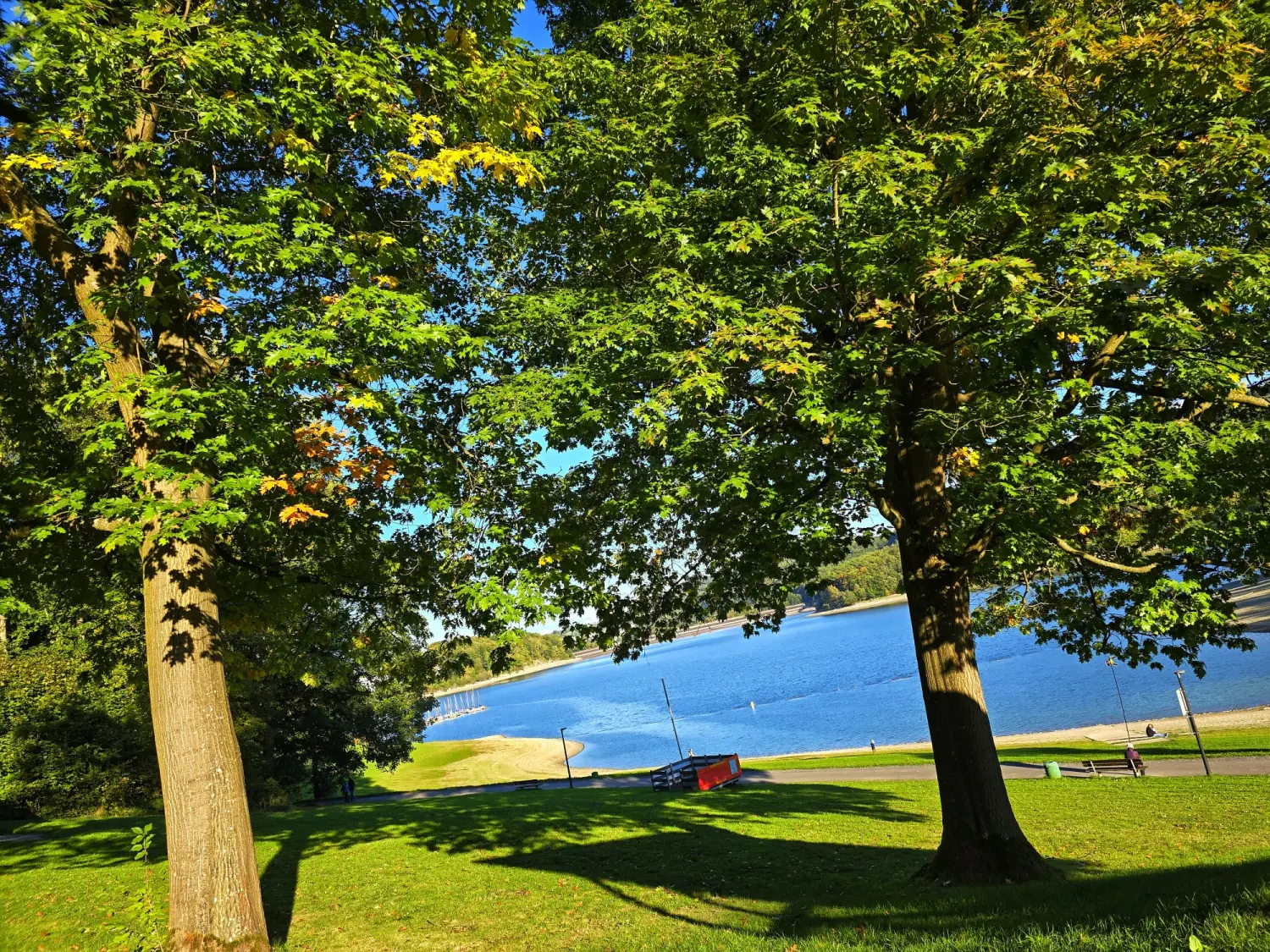 Umgebung/Landschaft von Ferienwohnungen Dorfliebe Dörnberg