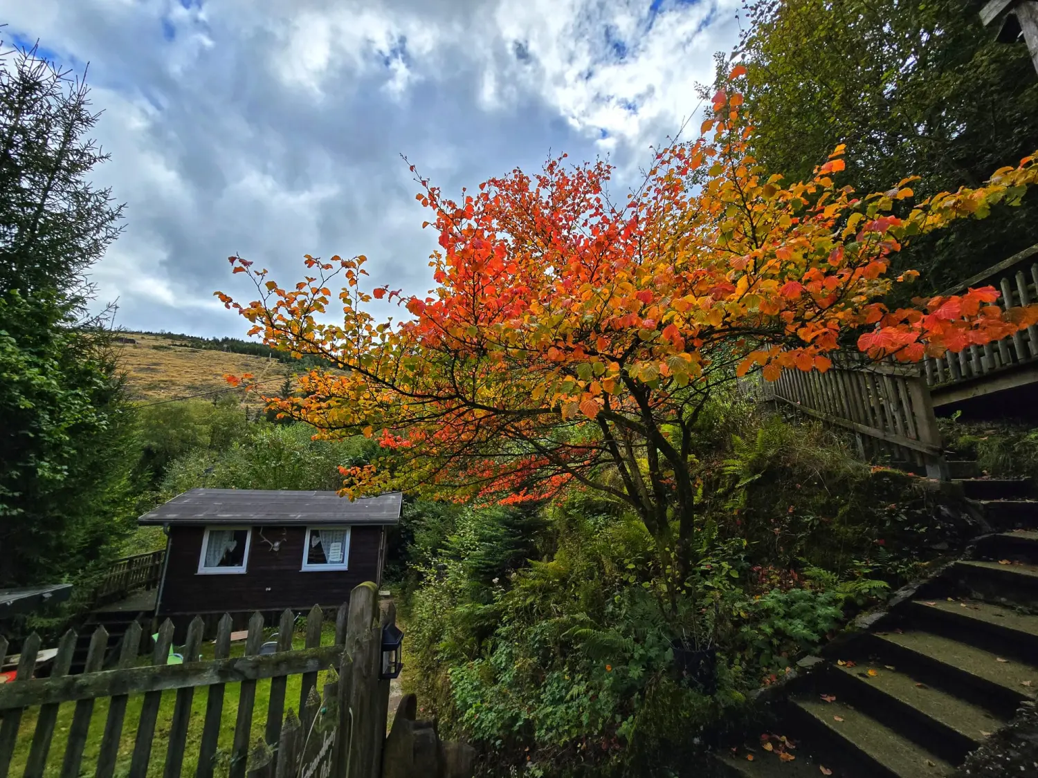 Umgebung/Landschaft von Ferienwohnungen Dorfliebe Dörnberg