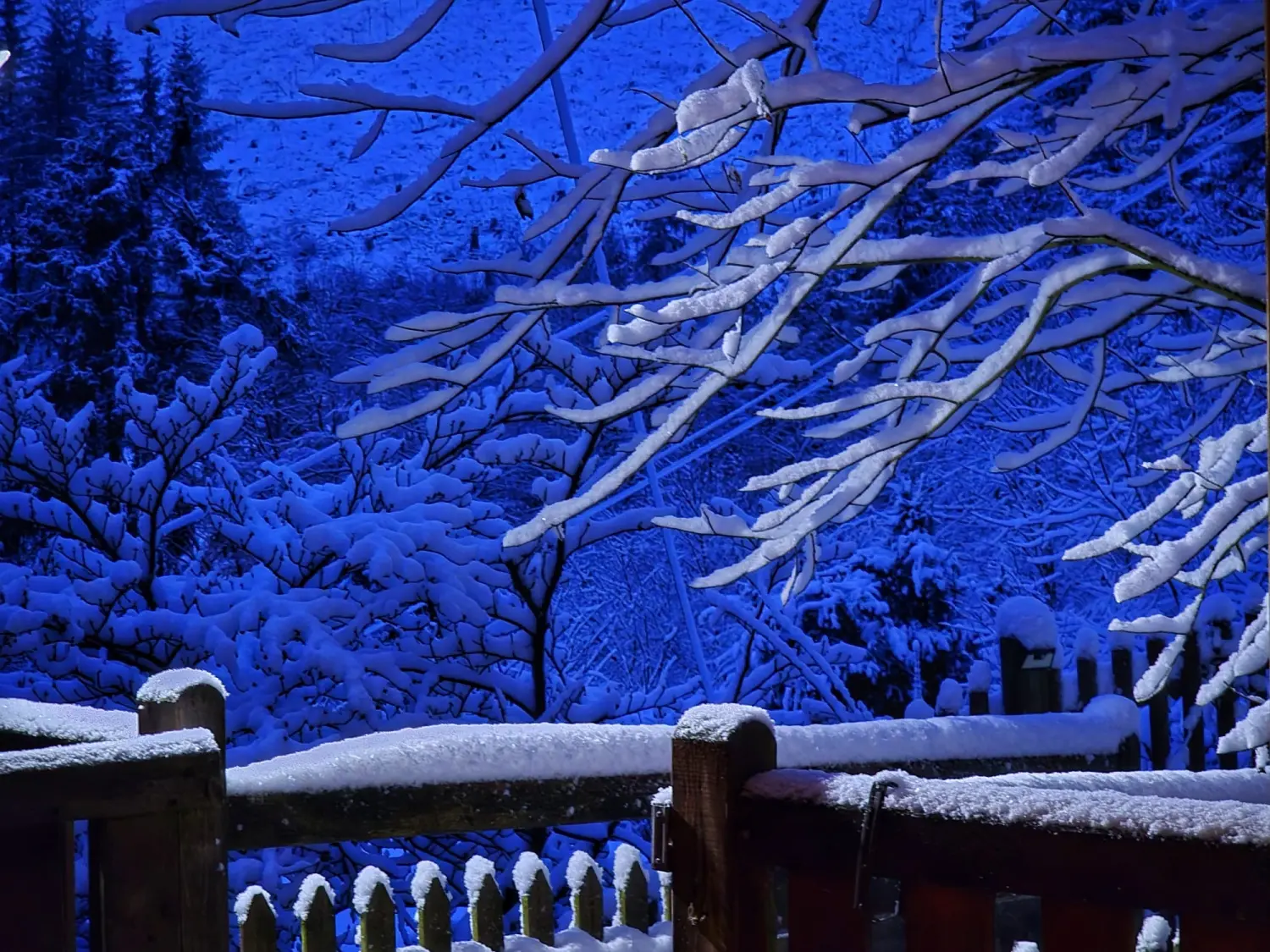 Umgebung/Landschaft von Ferienwohnungen Dorfliebe Dörnberg