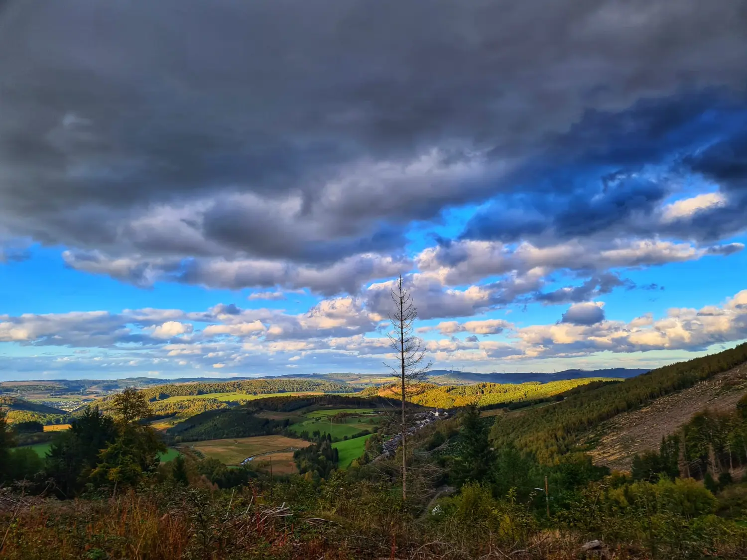 Umgebung/Landschaft von Ferienwohnungen Dorfliebe Dörnberg