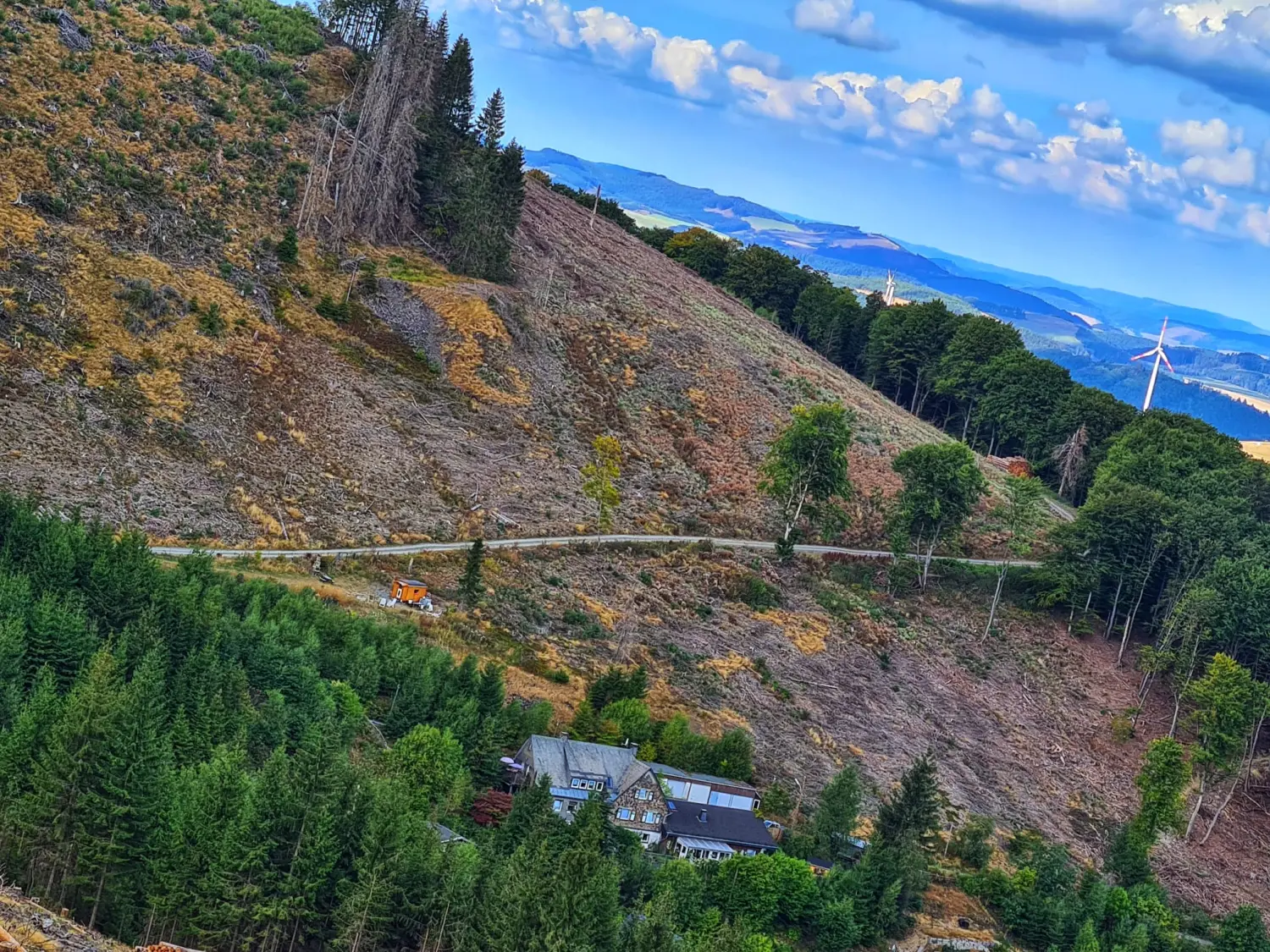 Umgebung/Landschaft von Ferienwohnungen Dorfliebe Dörnberg