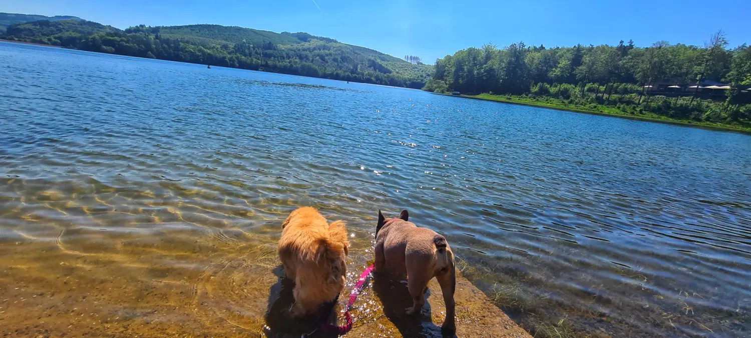 Umgebung/Landschaft von Ferienwohnungen Dorfliebe Dörnberg
