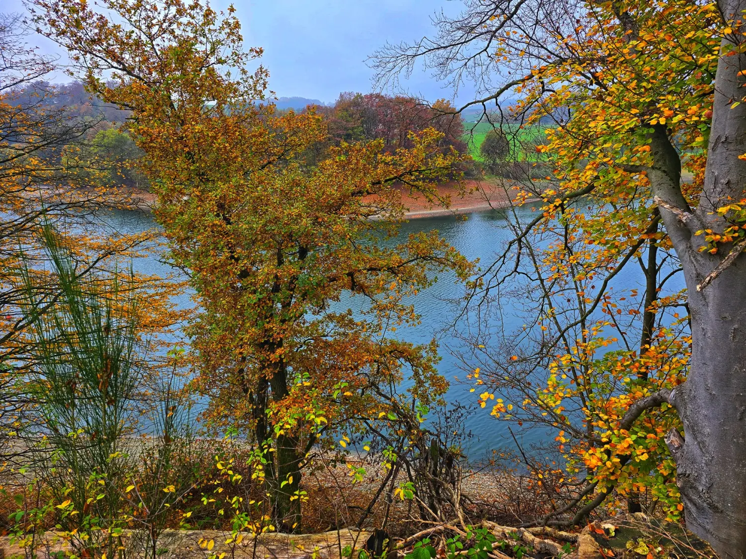 Umgebung/Landschaft von Ferienwohnungen Dorfliebe Dörnberg
