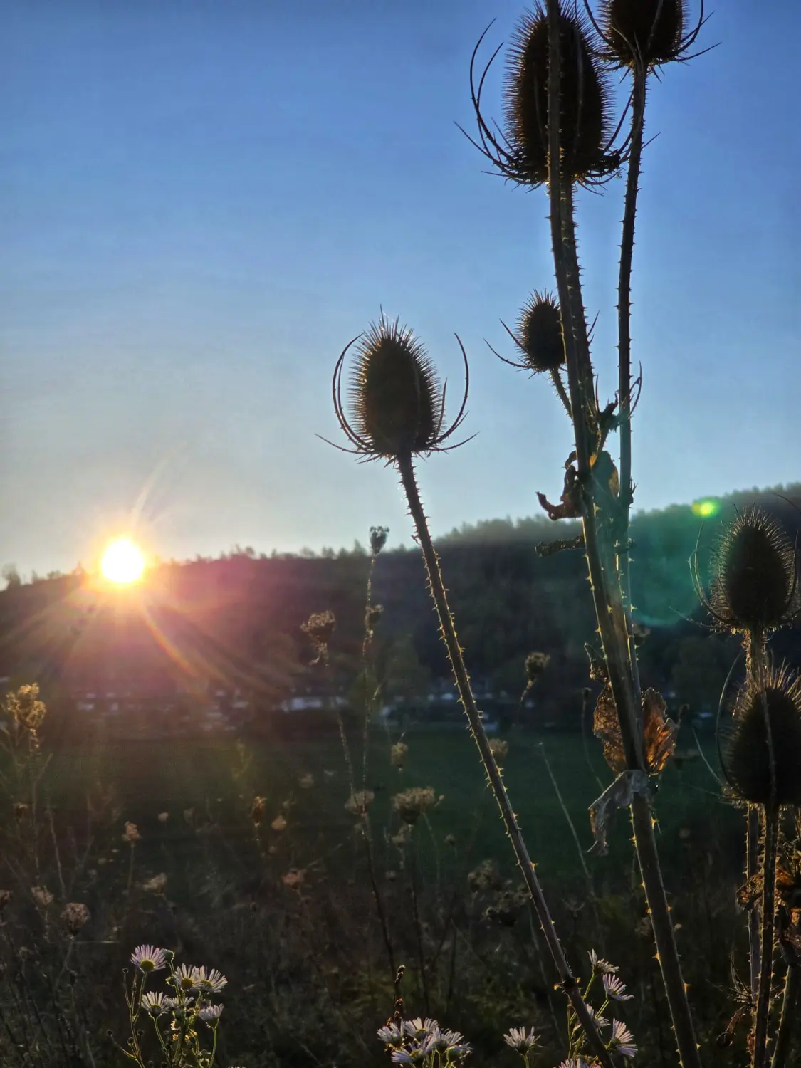 Umgebung/Landschaft von Ferienwohnungen Dorfliebe Dörnberg
