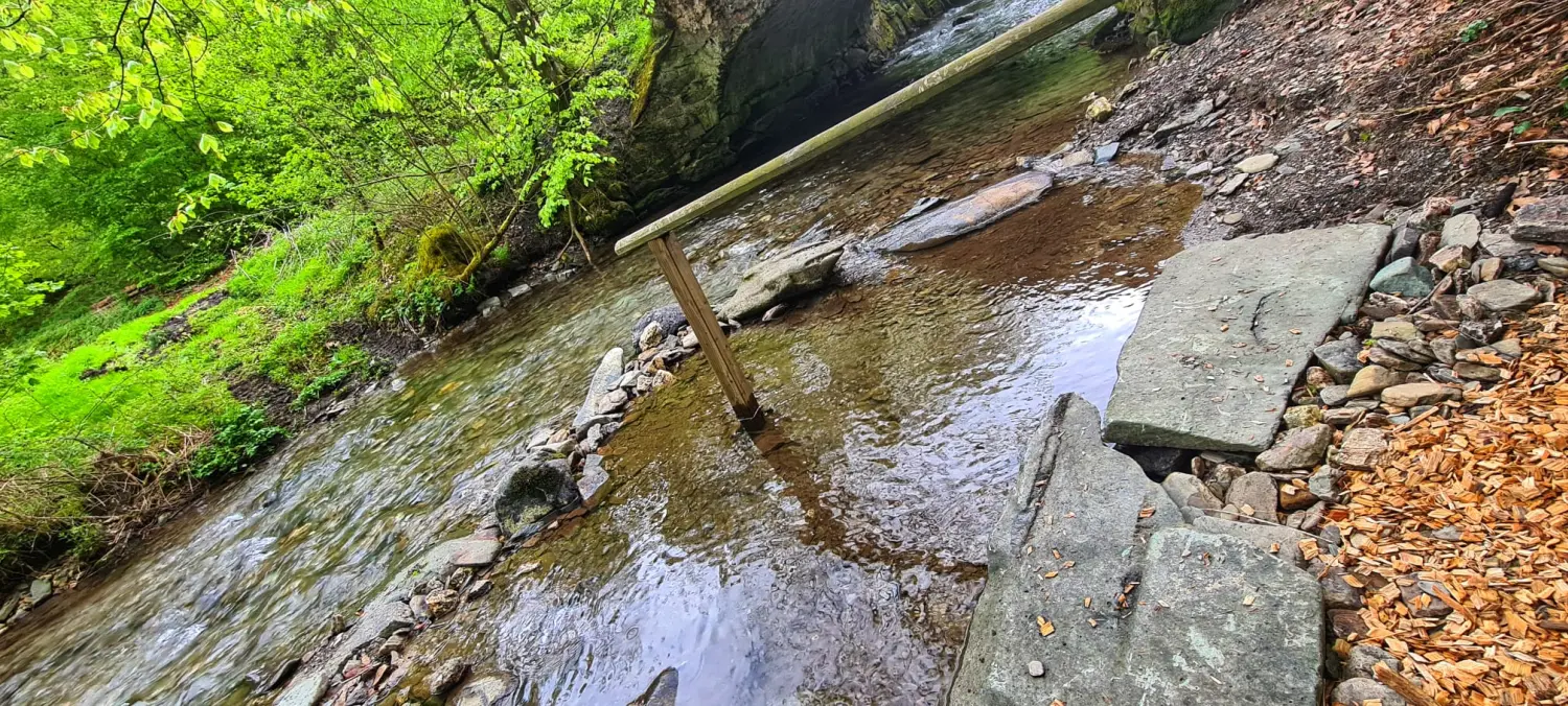 Umgebung/Landschaft von Ferienwohnungen Dorfliebe Dörnberg