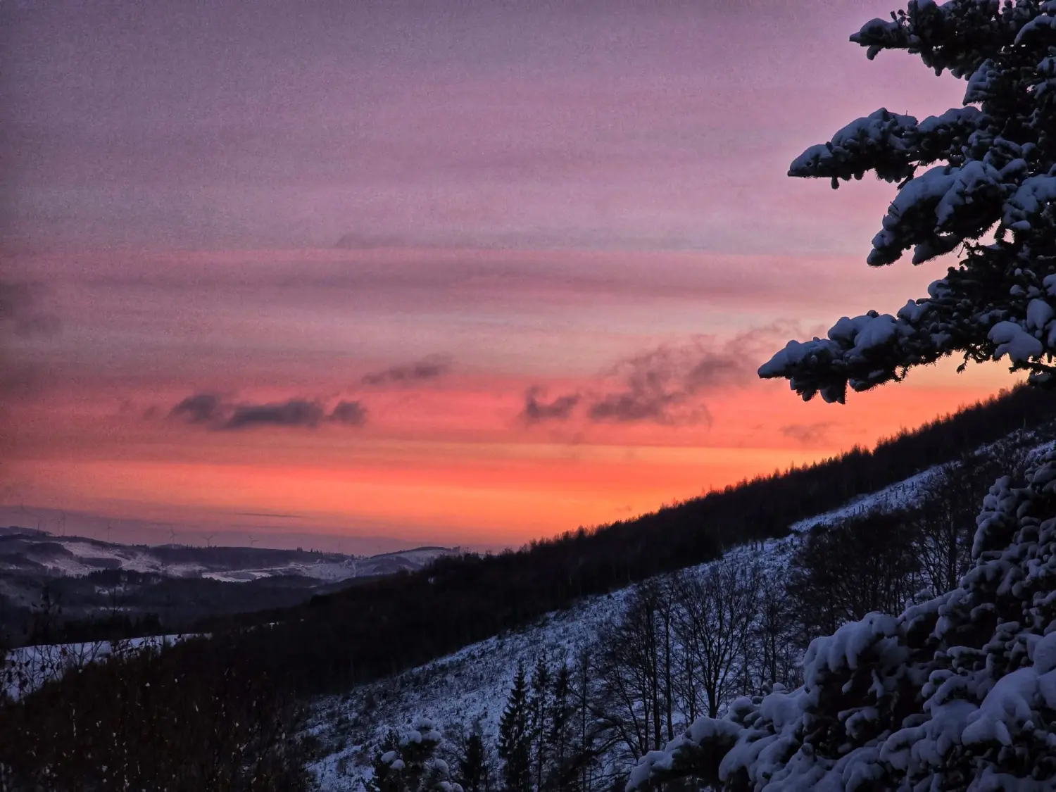 Umgebung/Landschaft von Ferienwohnungen Dorfliebe Dörnberg