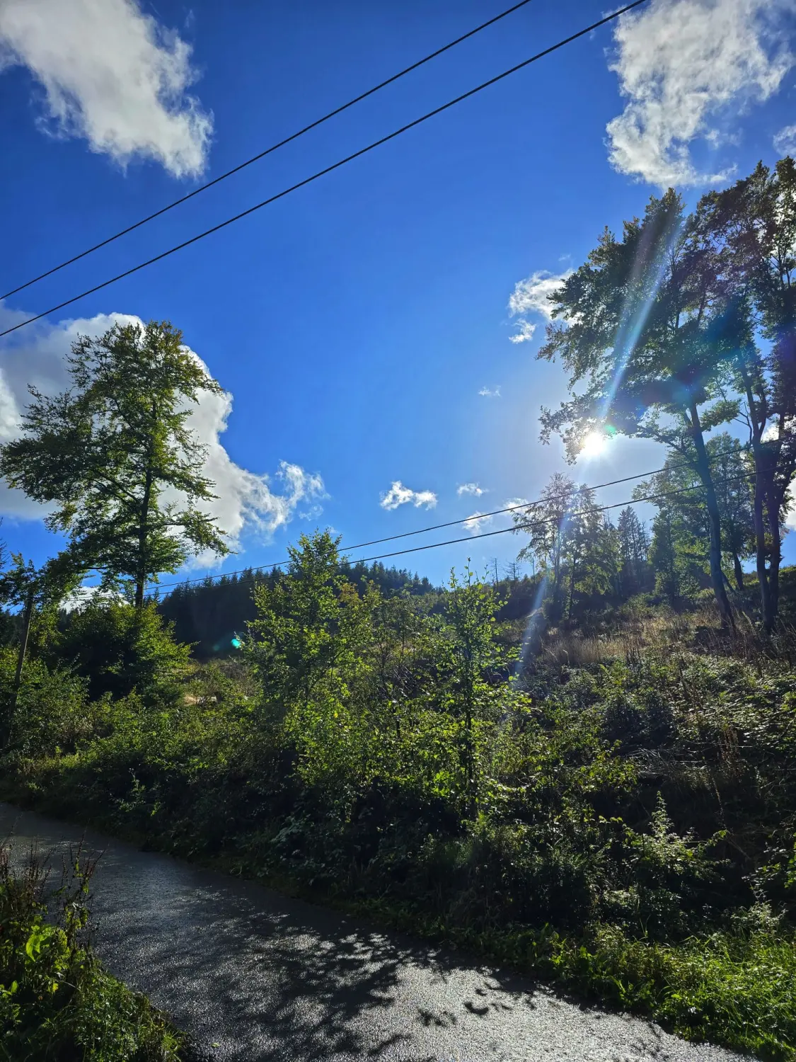 Umgebung/Landschaft von Ferienwohnungen Dorfliebe Dörnberg