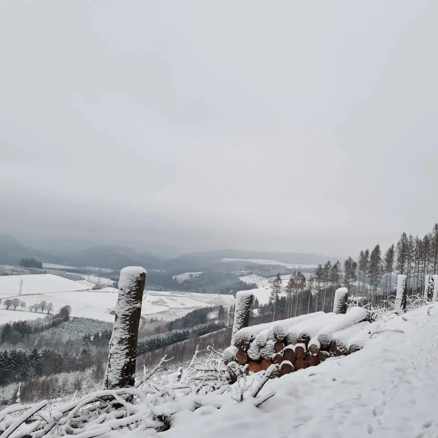 Umgebung/Landschaft von Ferienwohnungen Dorfliebe Dörnberg