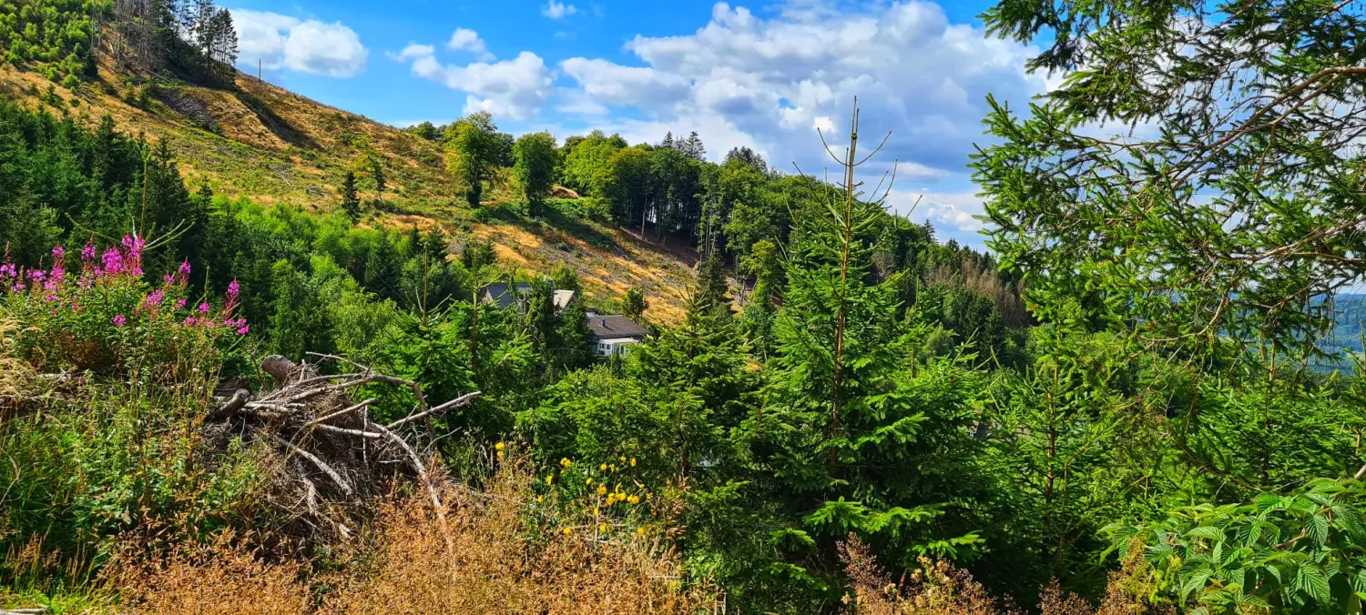 Umgebung/Landschaft von Ferienwohnungen Dorfliebe Dörnberg