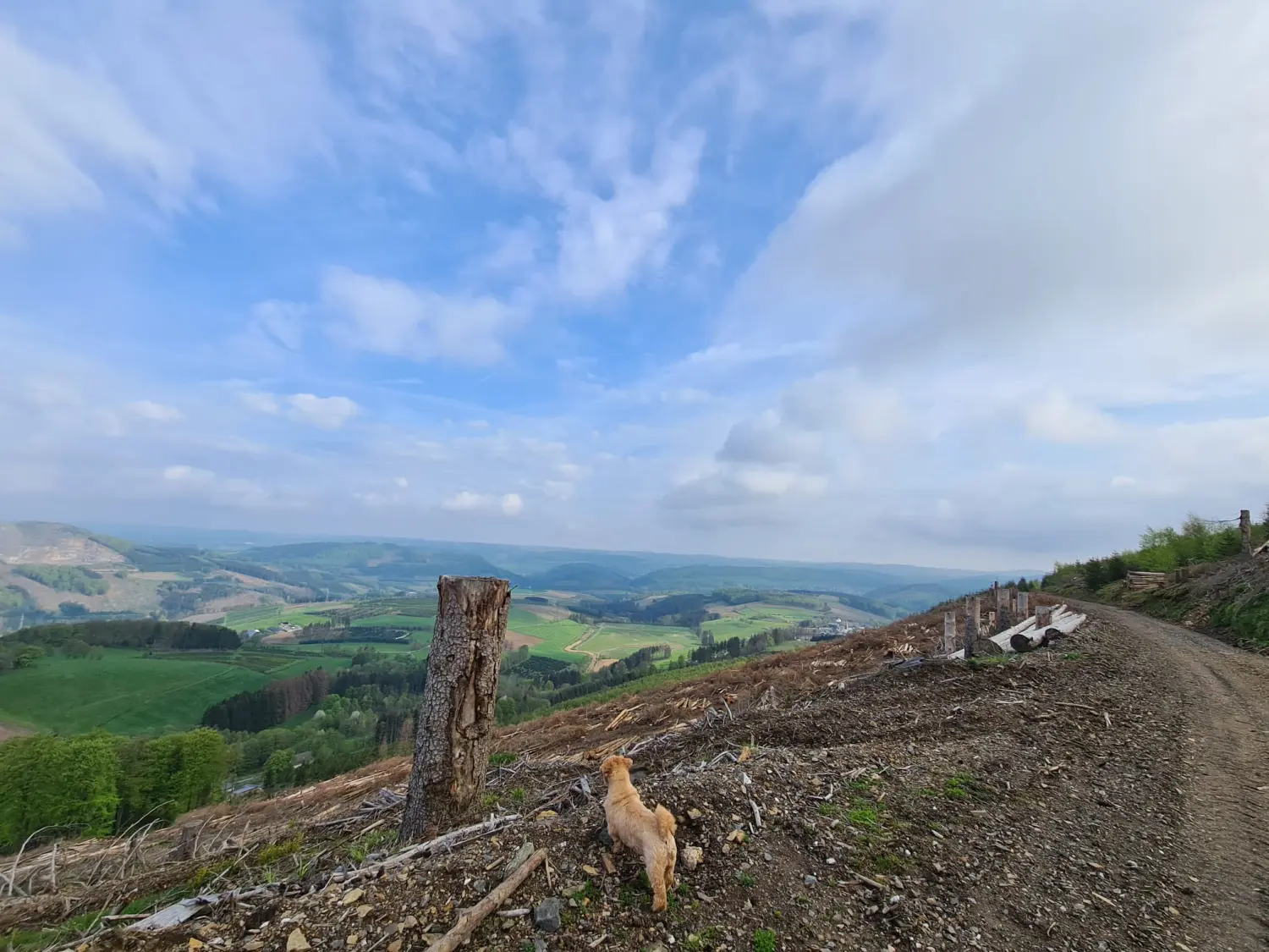 Umgebung/Landschaft von Ferienwohnungen Dorfliebe Dörnberg