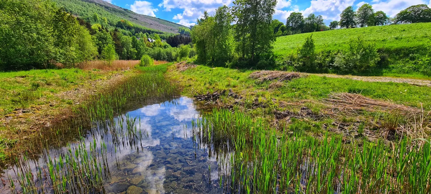 Umgebung/Landschaft von Ferienwohnungen Dorfliebe Dörnberg