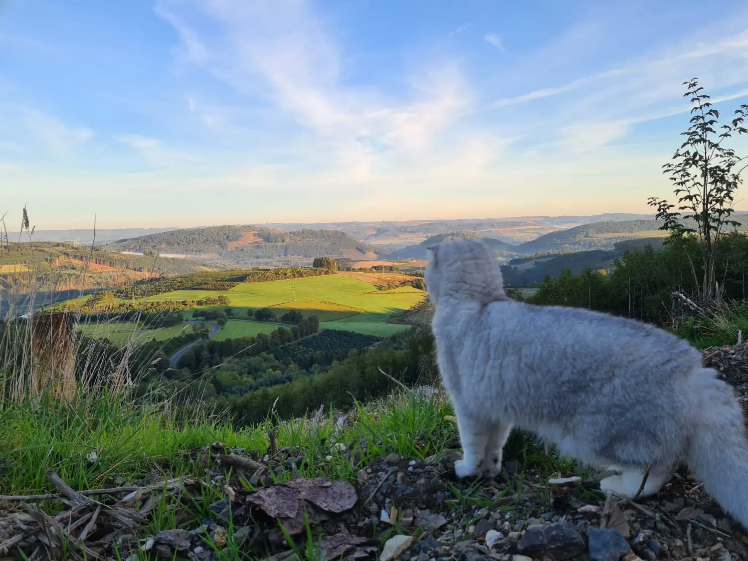 Umgebung/Landschaft von Ferienwohnungen Dorfliebe Dörnberg