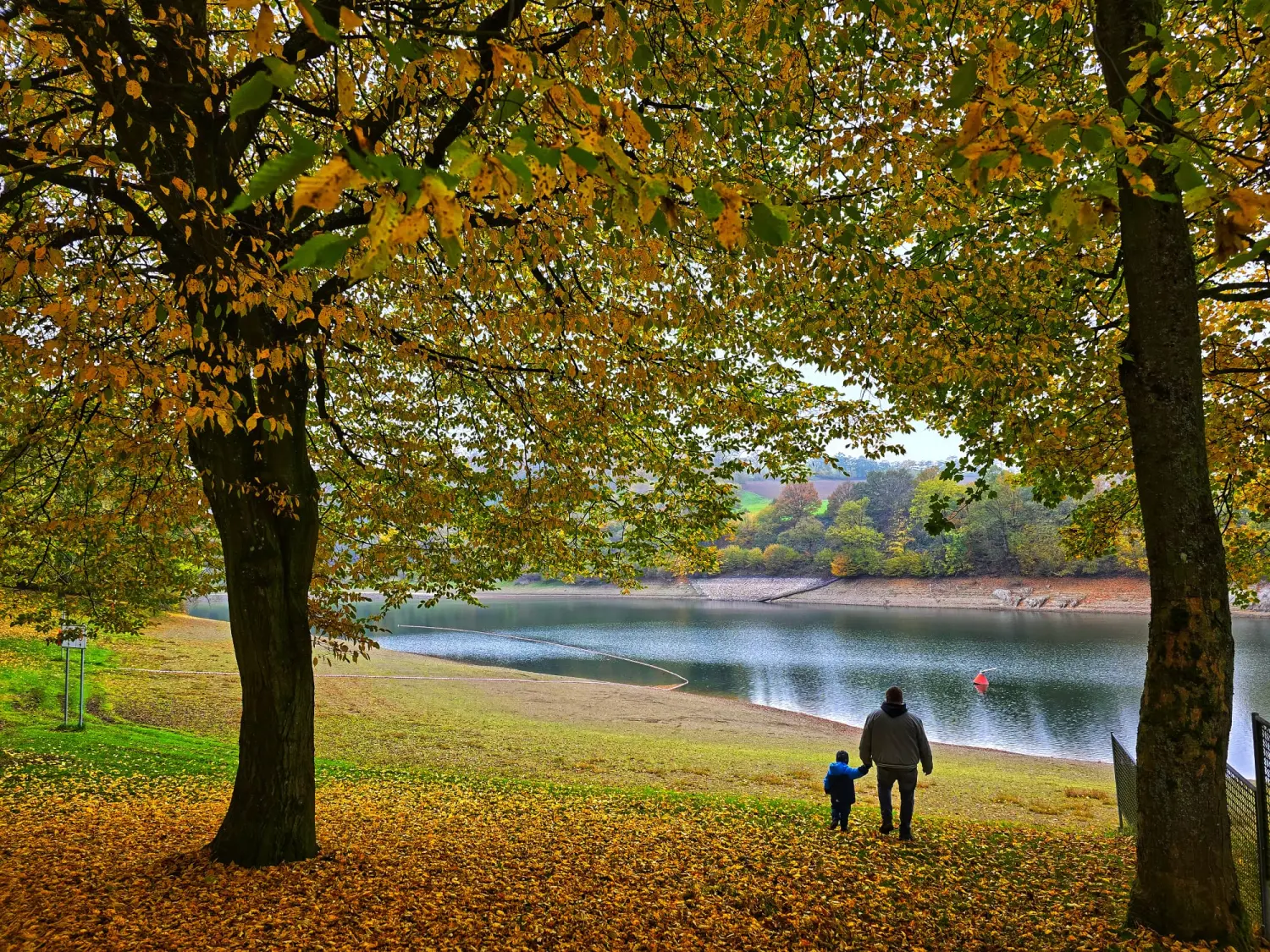 Umgebung/Landschaft von Ferienwohnungen Dorfliebe Dörnberg