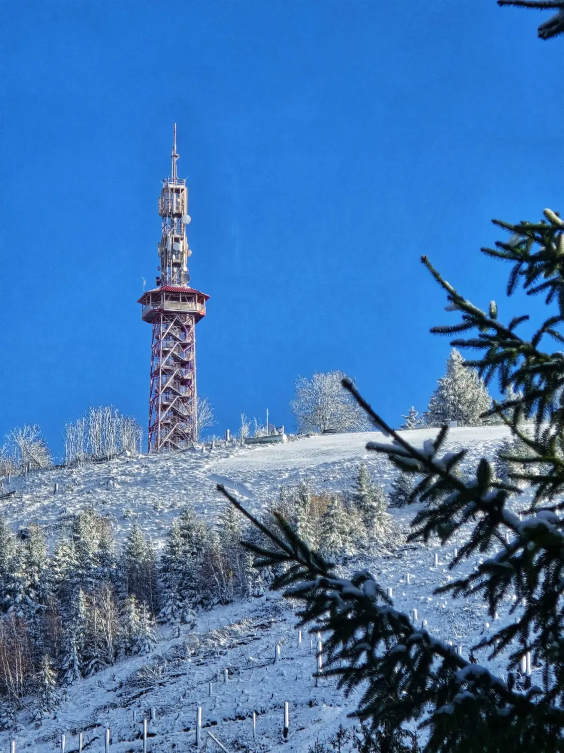 Umgebung/Landschaft von Ferienwohnungen Dorfliebe Dörnberg