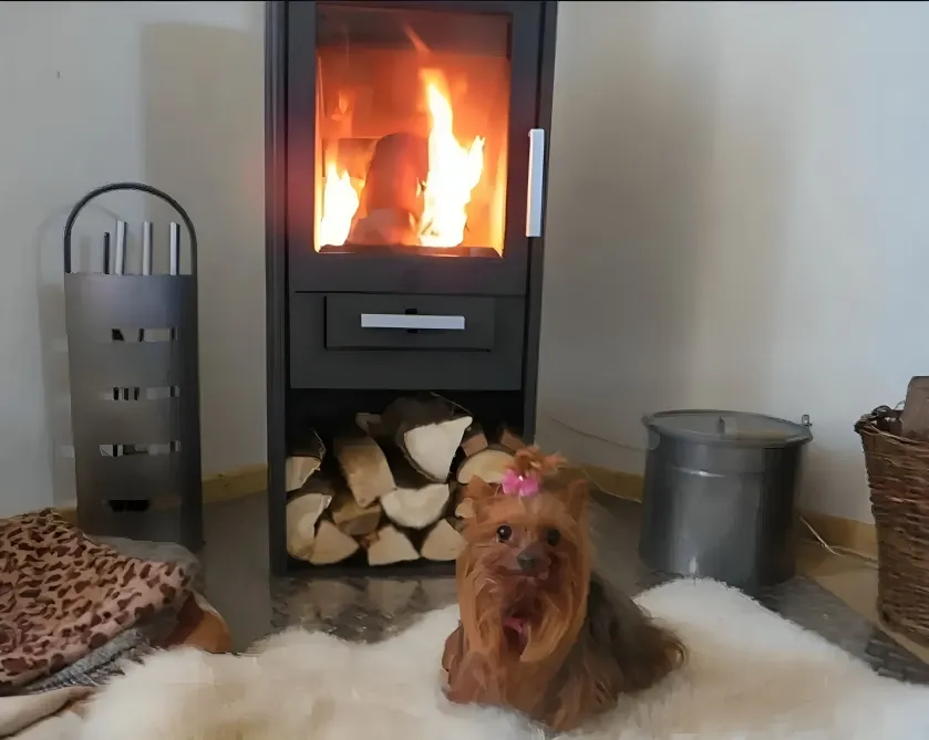 Ferien mit Hund Dörnber