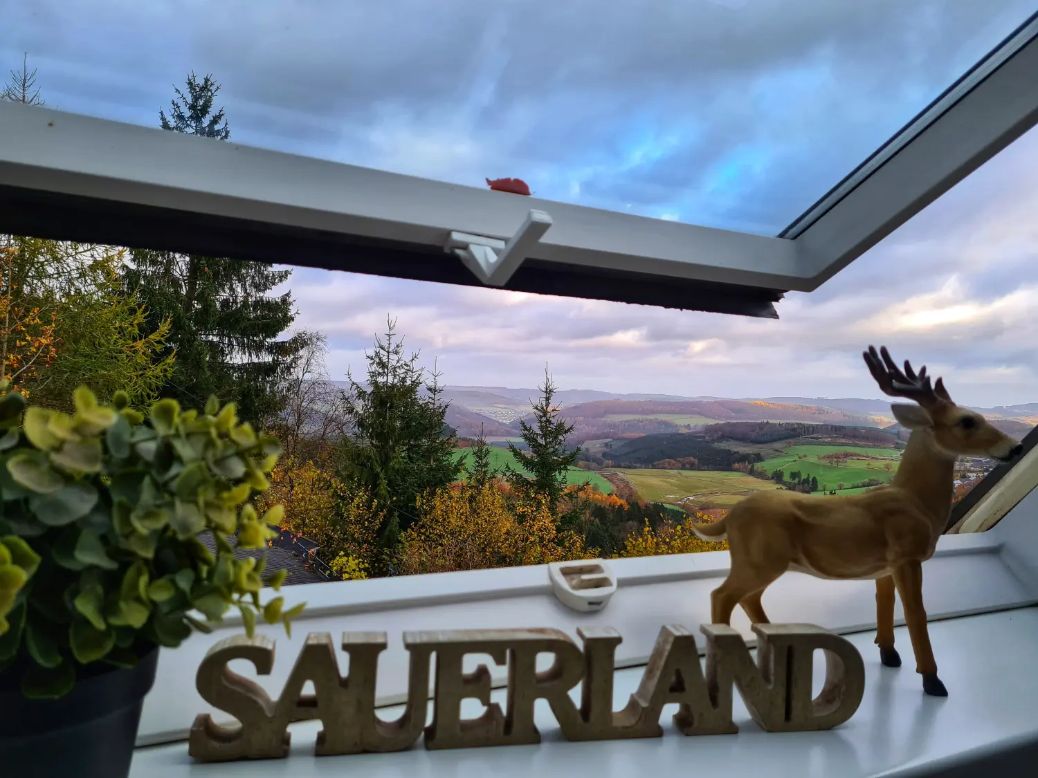 Ferienwohnung Talblick von Alda Mattern/ Hypnose-Coach/ Havening / EmotionCode-Praktikerin