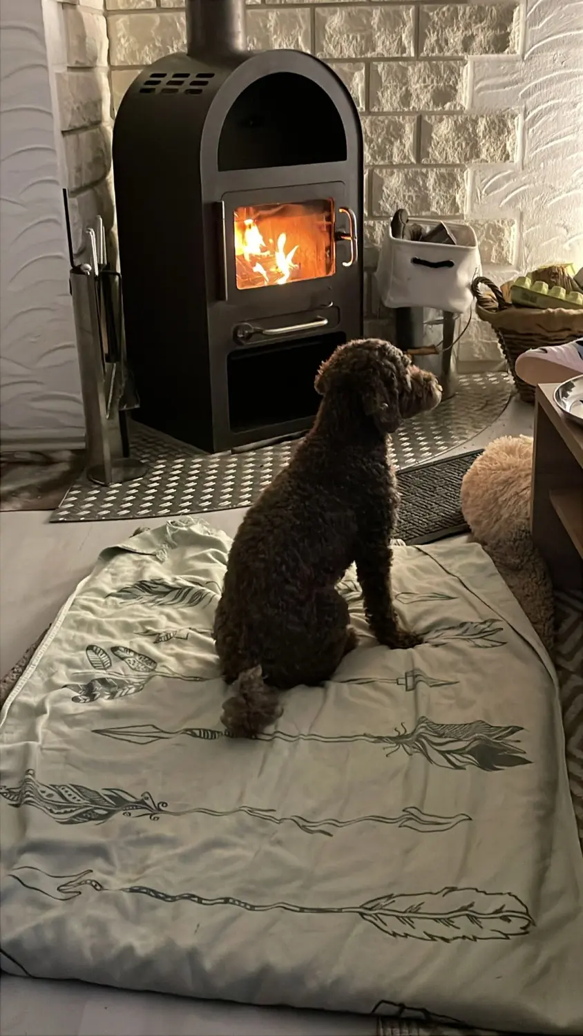 Ferienwohnung Talblick bei Ferienwohnungen Dorfliebe Dörnberg