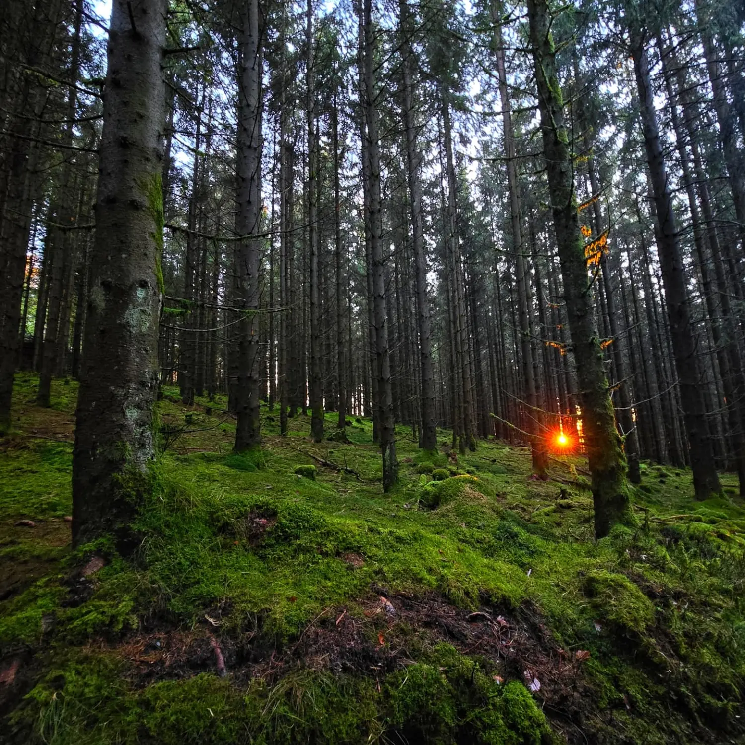 Umgebung/Landschaft von Ferienwohnungen Dorfliebe Dörnberg
