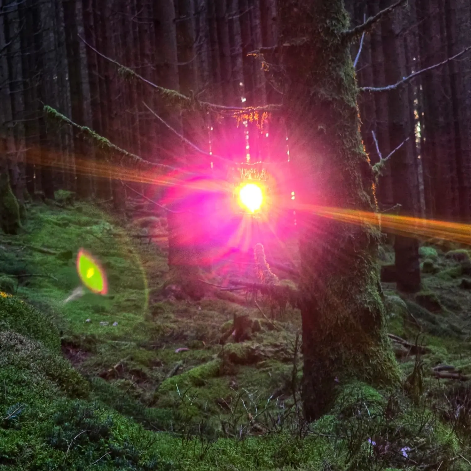 Umgebung/Landschaft von Ferienwohnungen Dorfliebe Dörnberg