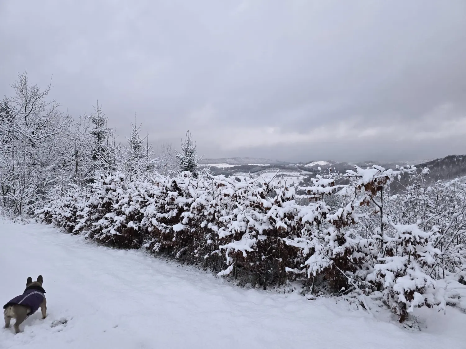 Umgebung/Landschaft von Ferienwohnungen Dorfliebe Dörnberg